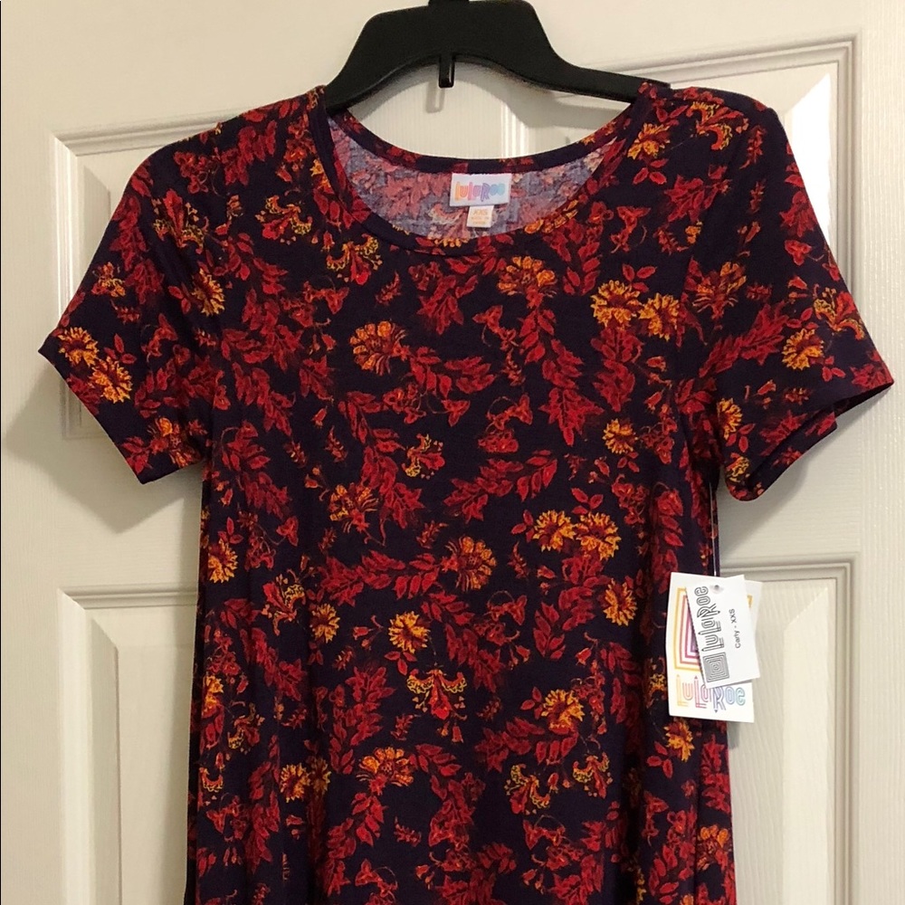NWT LuLaRoe Carly Dress